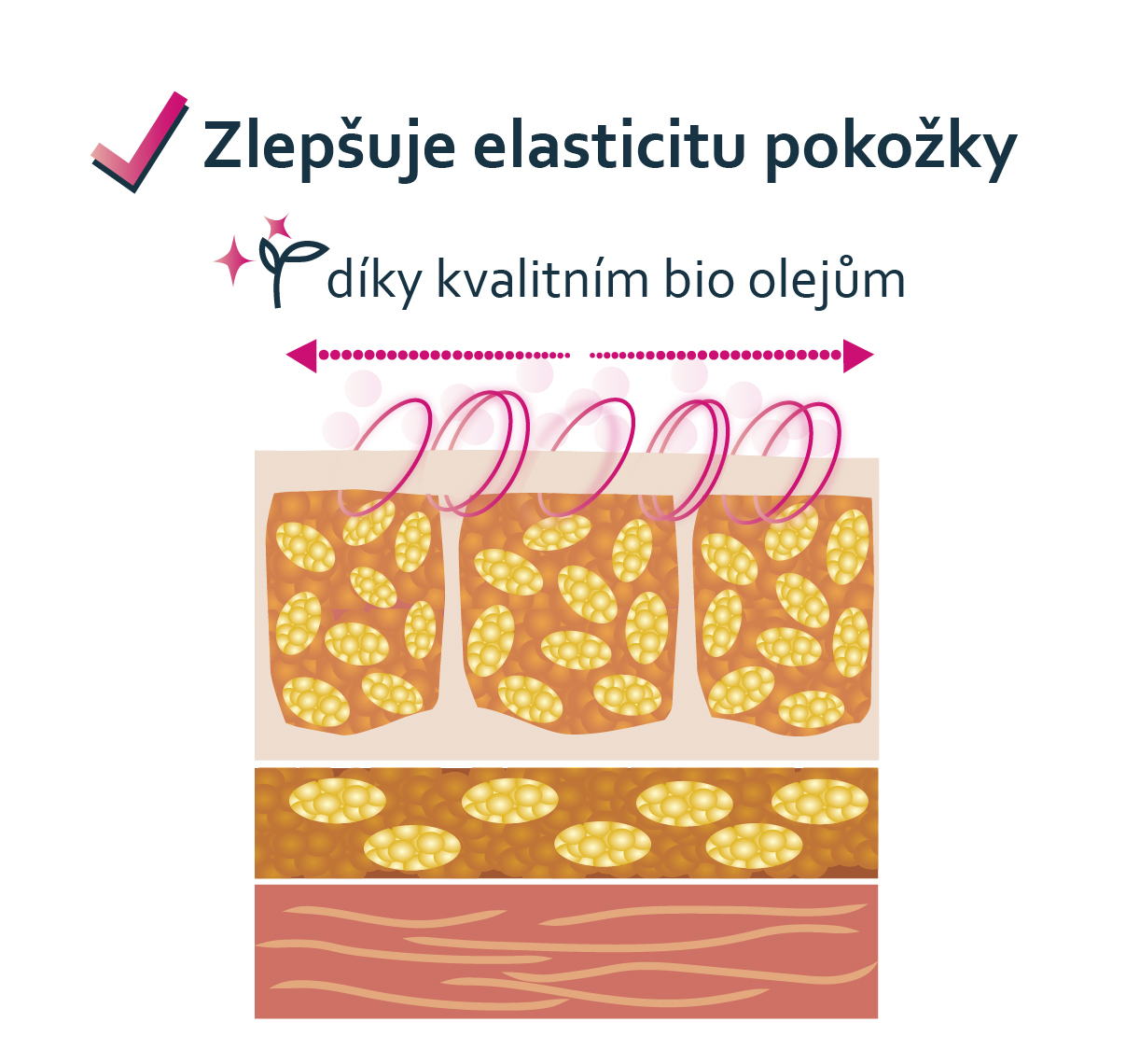 efekty_elasticita